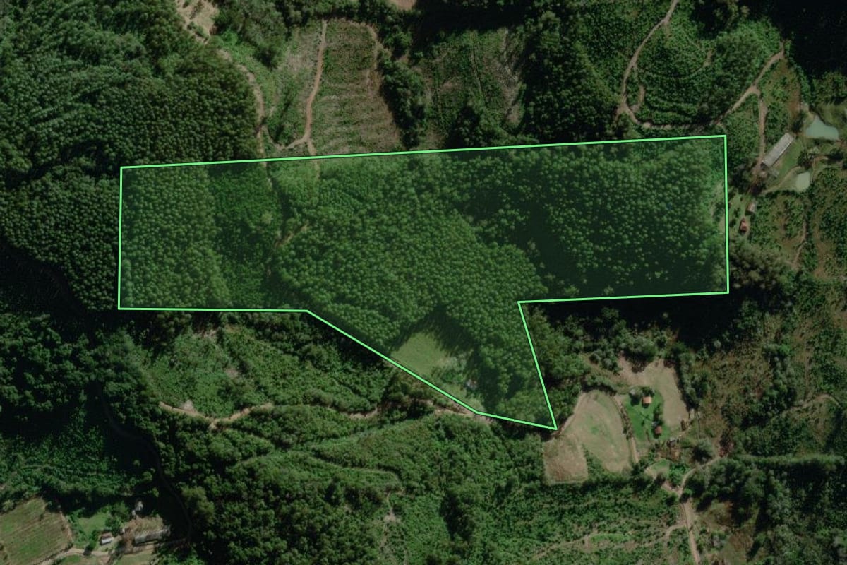 Imagem de satélite do imóvel rural em Nova Bréscia (RS), com o contorno declarado no CAR desenhado por cima.