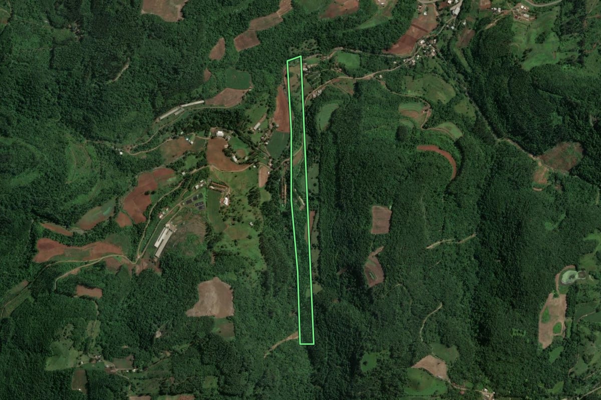 Imagem de satélite do imóvel rural em Nova Bréscia (RS), com o contorno declarado no CAR desenhado por cima.