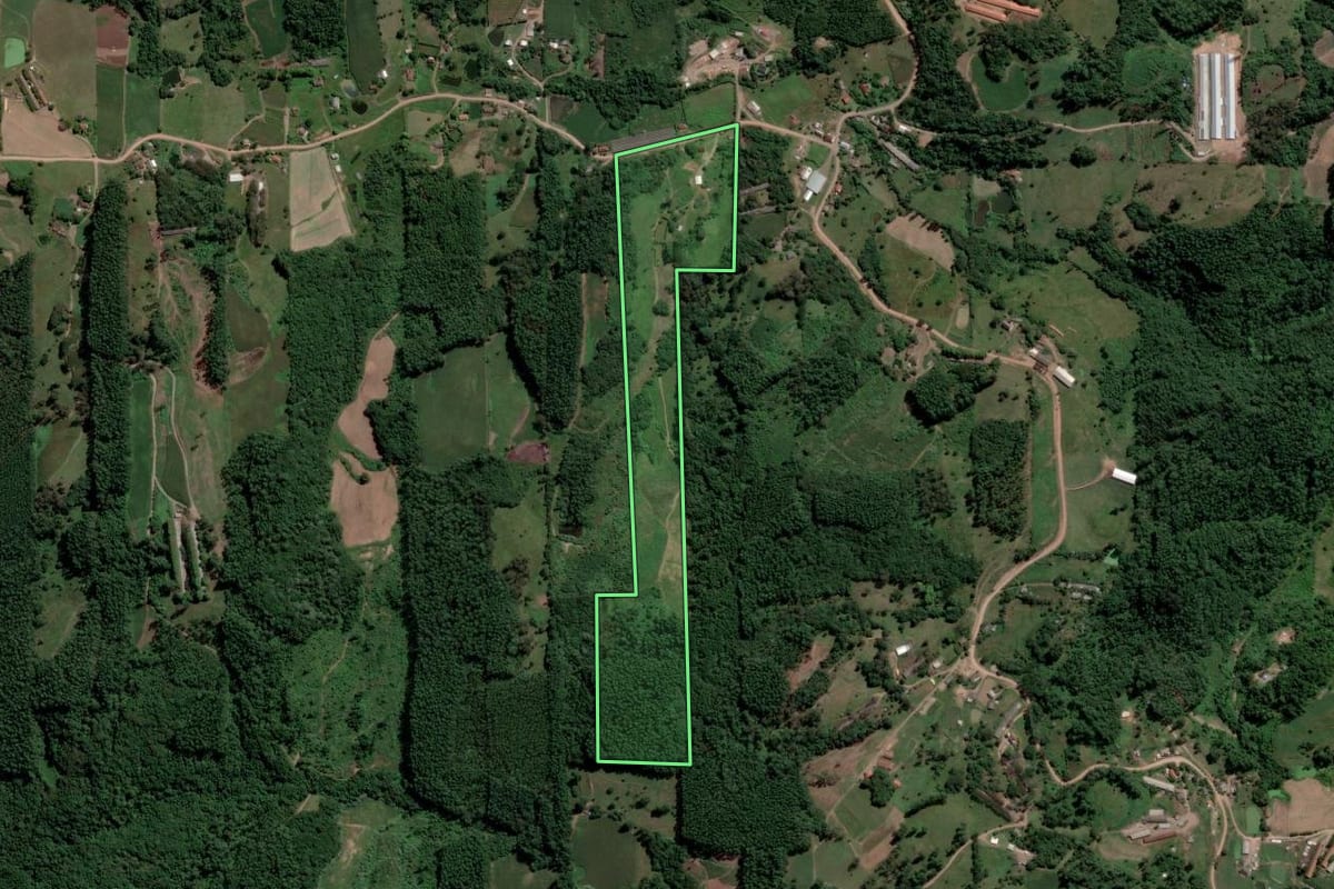 Imagem de satélite do imóvel rural em Nova Bréscia (RS), com o contorno declarado no CAR desenhado por cima.
