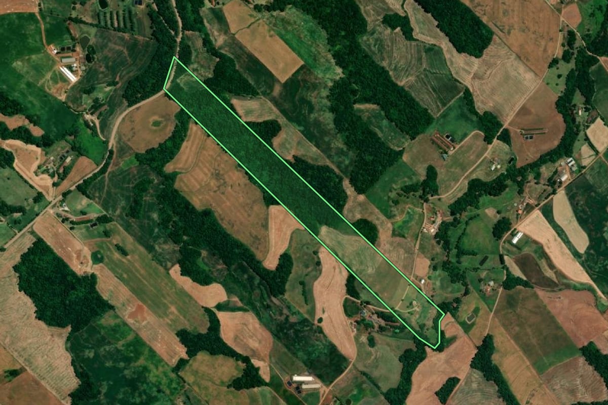 Imagem de satélite do imóvel rural em Nova Candelária (RS), com o contorno declarado no CAR desenhado por cima.