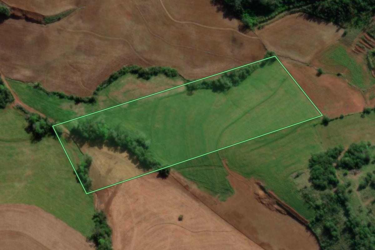 Imagem de satélite do imóvel rural em Nova Candelária (RS), com o contorno declarado no CAR desenhado por cima.