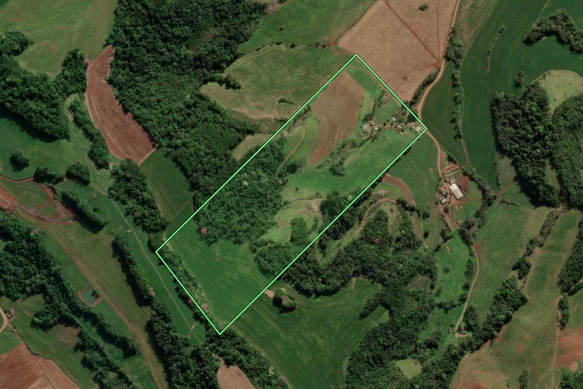 Imagem de satélite do imóvel rural em Nova Candelária (RS), com o contorno declarado no CAR desenhado por cima.