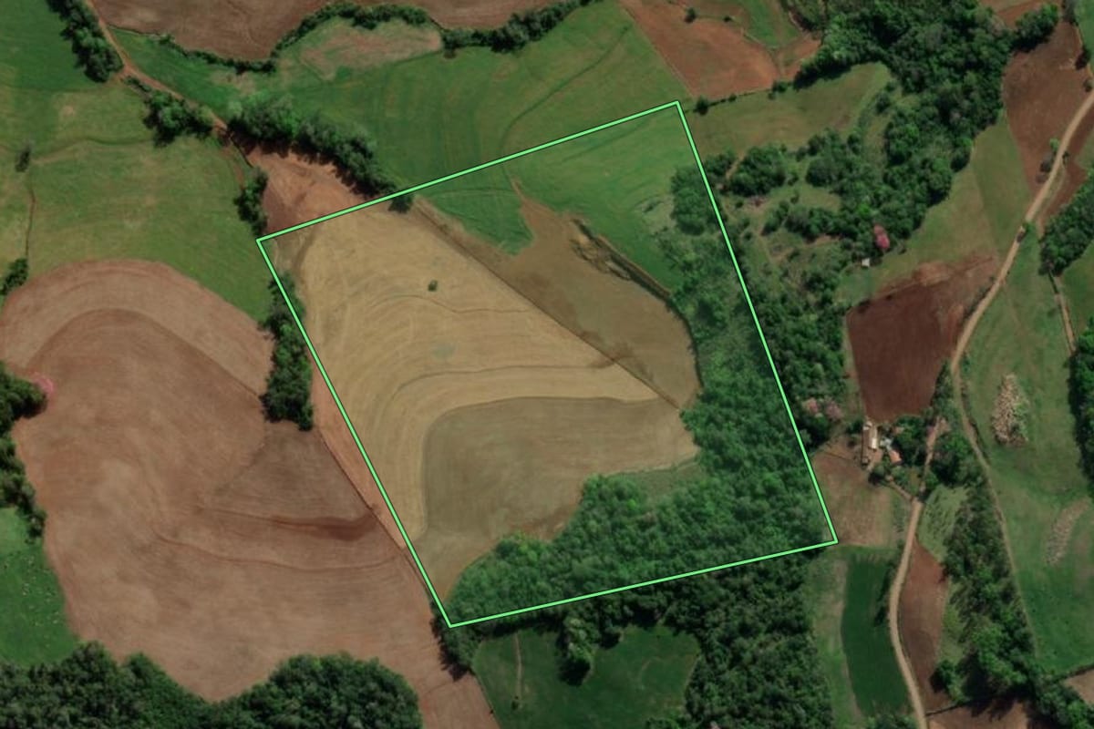 Imagem de satélite do imóvel rural em Nova Candelária (RS), com o contorno declarado no CAR desenhado por cima.