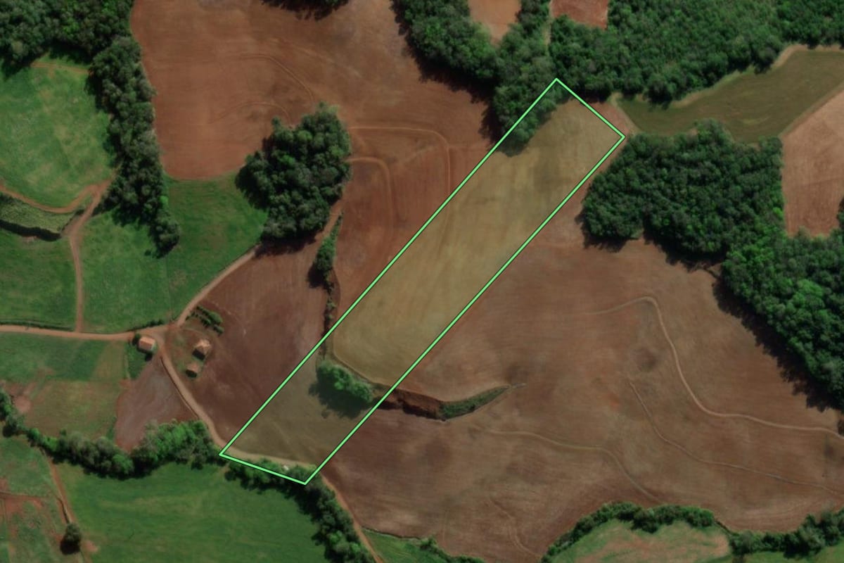 Imagem de satélite do imóvel rural em Nova Candelária (RS), com o contorno declarado no CAR desenhado por cima.
