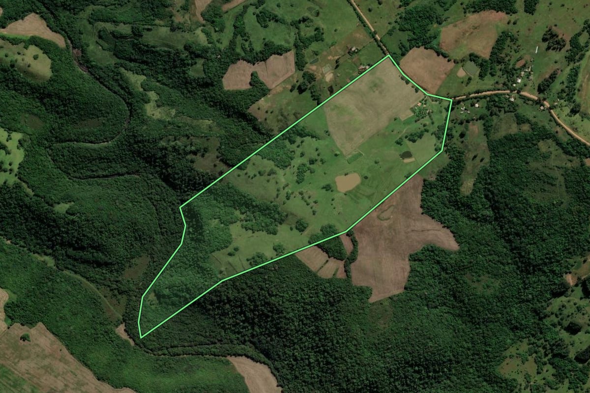 Imagem de satélite do imóvel rural em Nova Esperança do Sul (RS), com o contorno declarado no CAR desenhado por cima.