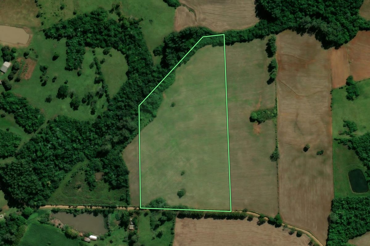 Imagem de satélite do imóvel rural em Nova Esperança do Sul (RS), com o contorno declarado no CAR desenhado por cima.