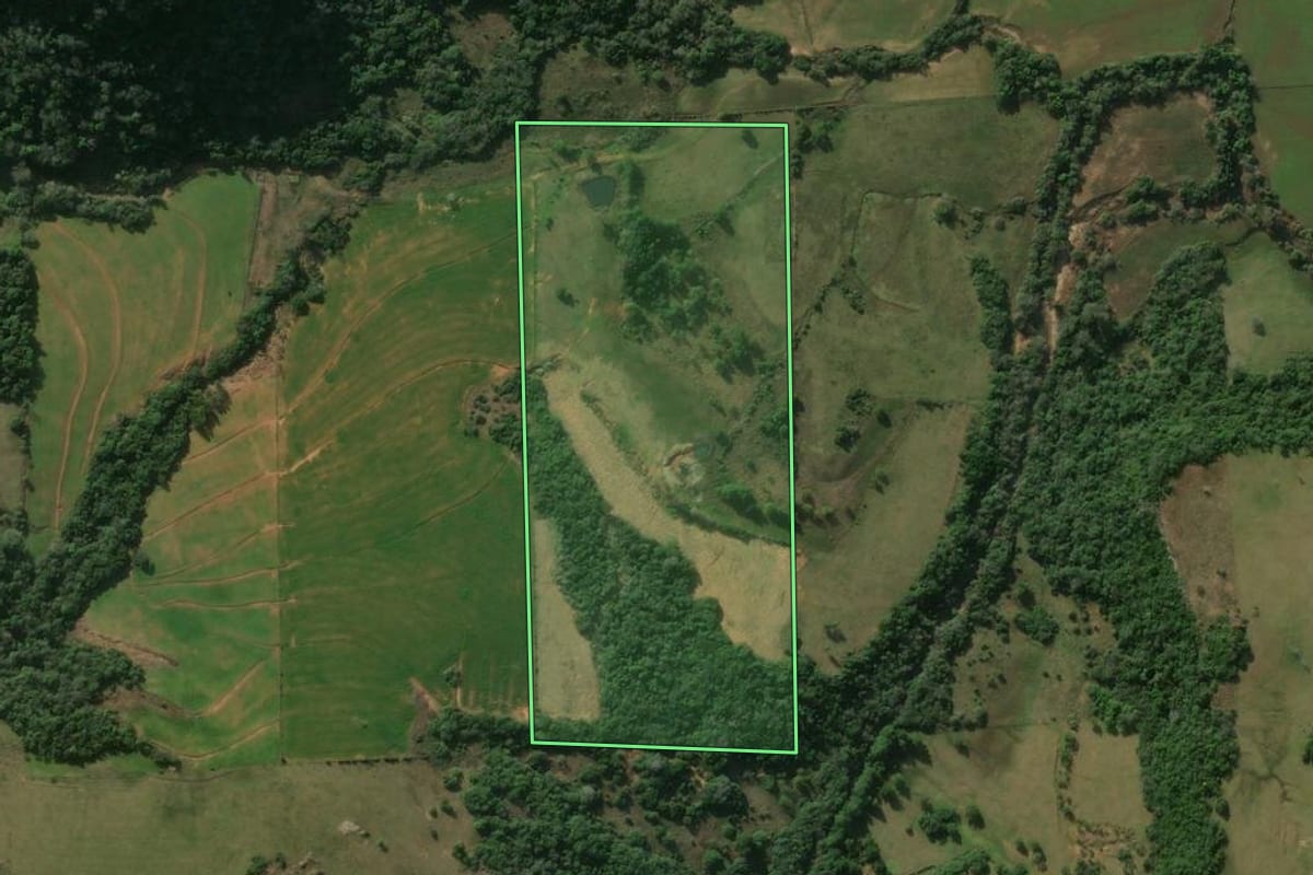 Imagem de satélite do imóvel rural em Nova Esperança do Sul (RS), com o contorno declarado no CAR desenhado por cima.
