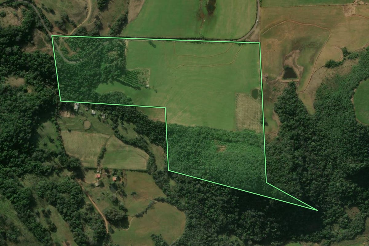 Imagem de satélite do imóvel rural em Nova Esperança do Sul (RS), com o contorno declarado no CAR desenhado por cima.