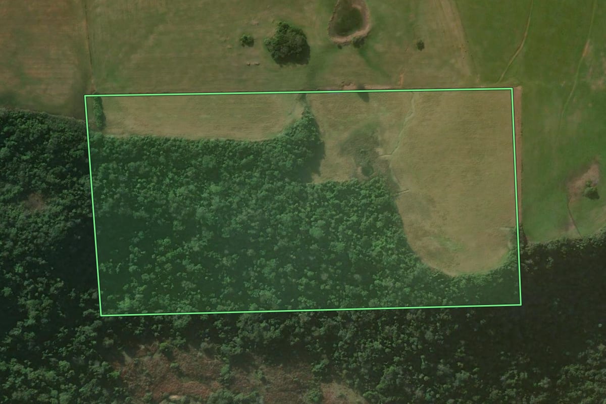 Imagem de satélite do imóvel rural em Nova Esperança do Sul (RS), com o contorno declarado no CAR desenhado por cima.
