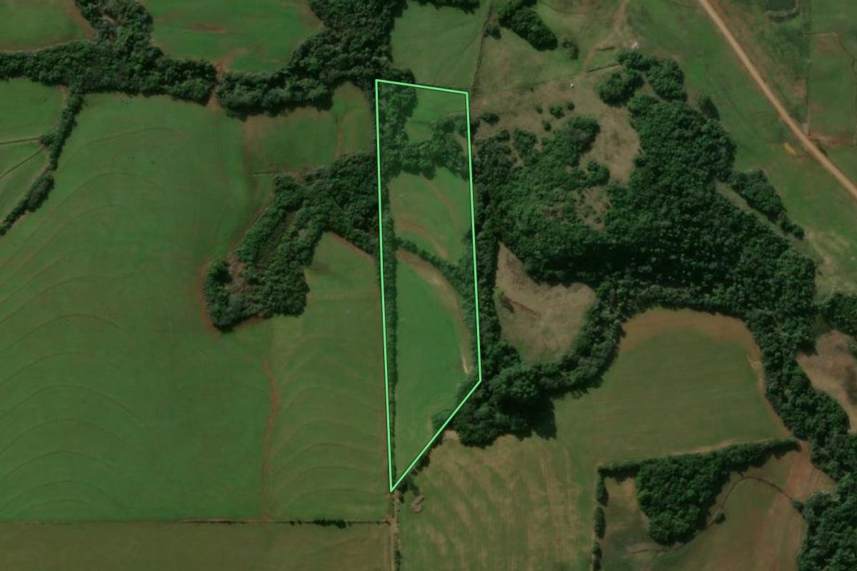 Imagem de satélite do imóvel rural em Nova Esperança do Sul (RS), com o contorno declarado no CAR desenhado por cima.