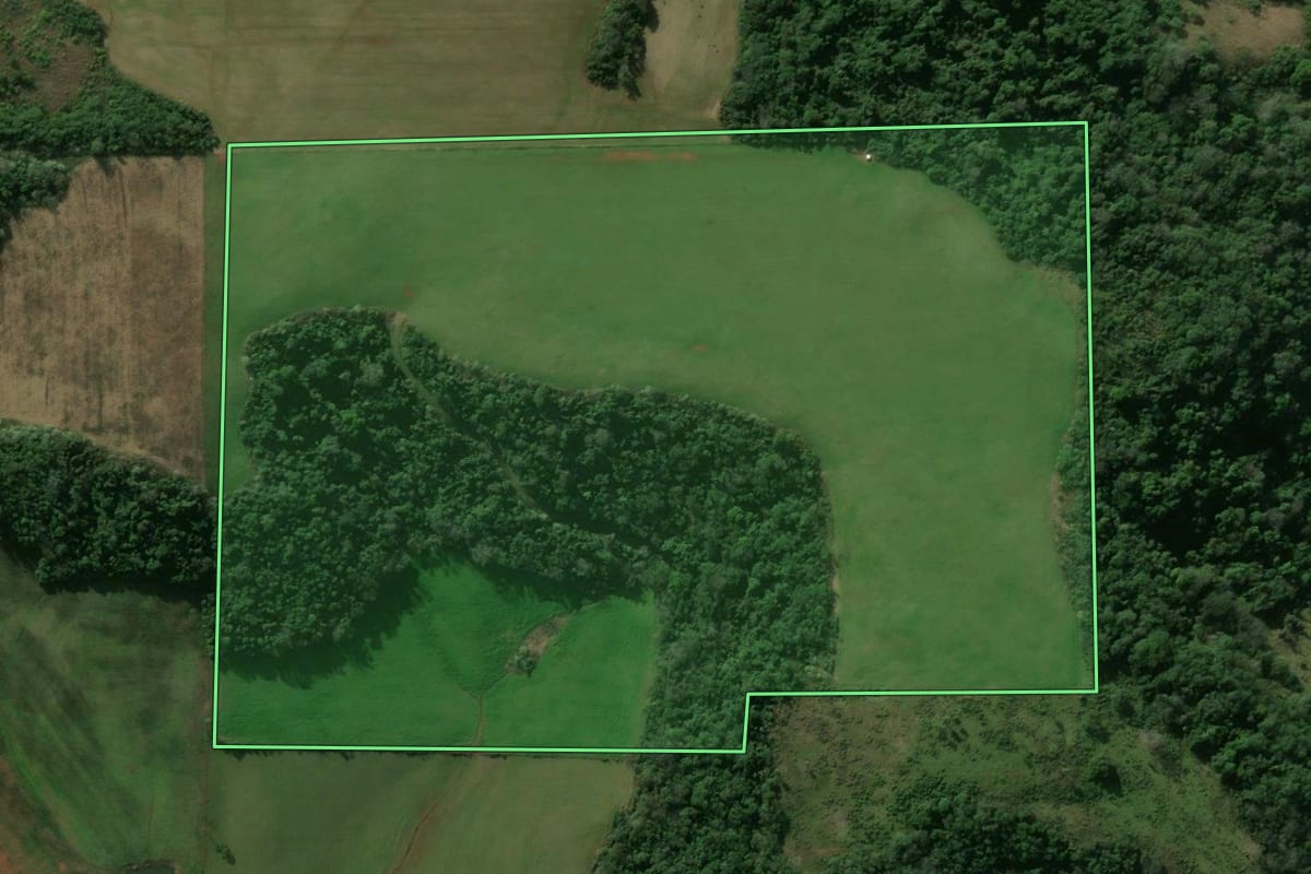 Imagem de satélite do imóvel rural em Nova Esperança do Sul (RS), com o contorno declarado no CAR desenhado por cima.
