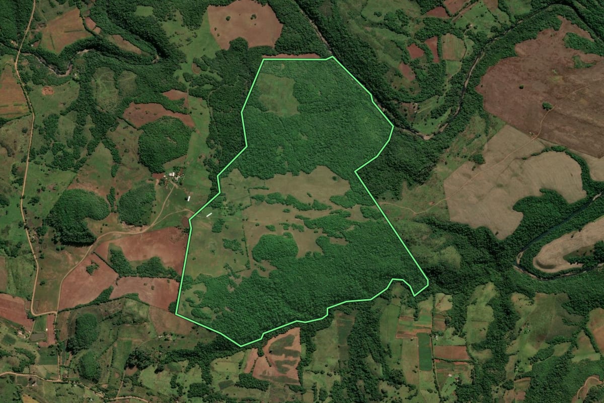 Imagem de satélite do imóvel rural em Nova Esperança do Sul (RS), com o contorno declarado no CAR desenhado por cima.