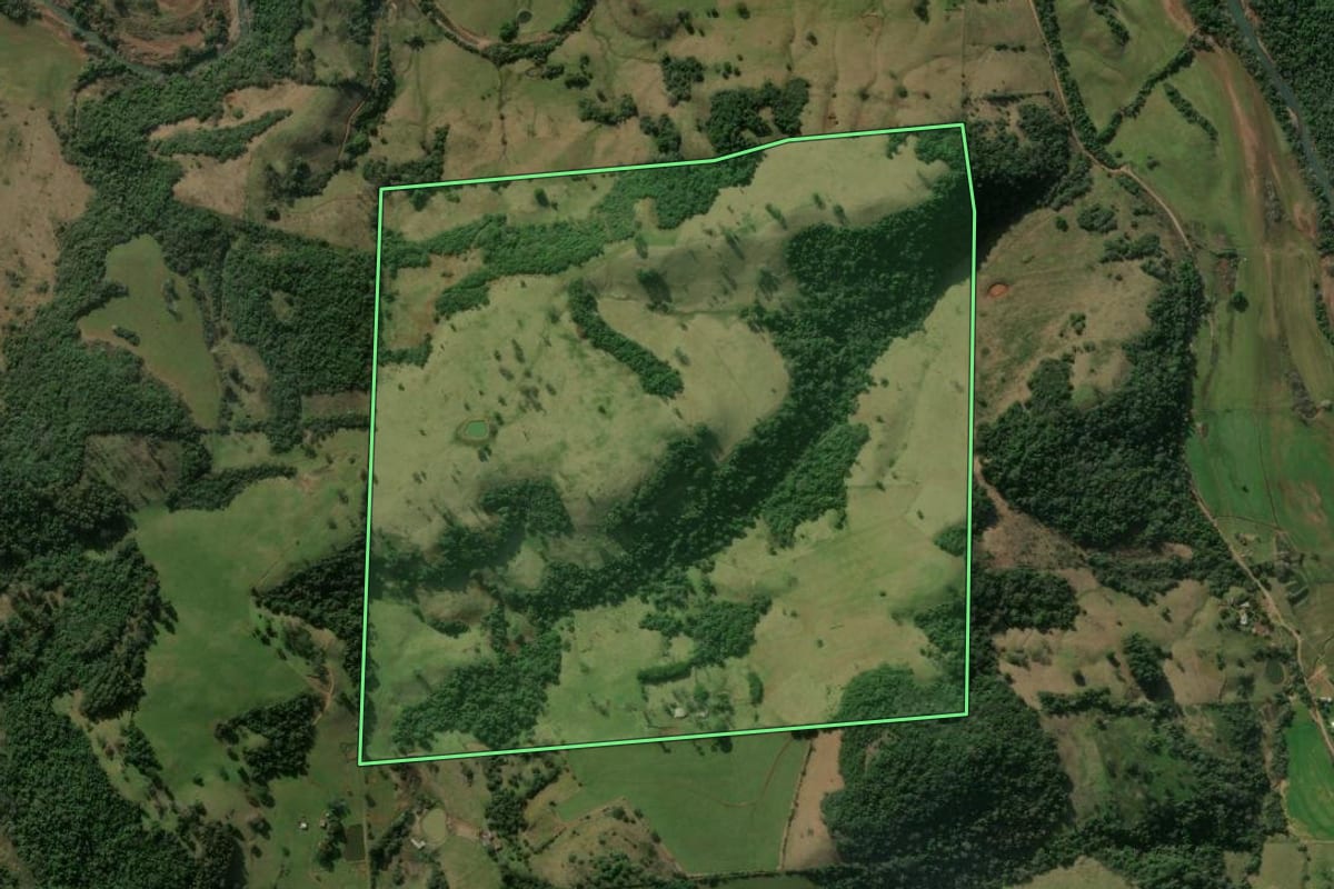 Imagem de satélite do imóvel rural em Nova Esperança do Sul (RS), com o contorno declarado no CAR desenhado por cima.