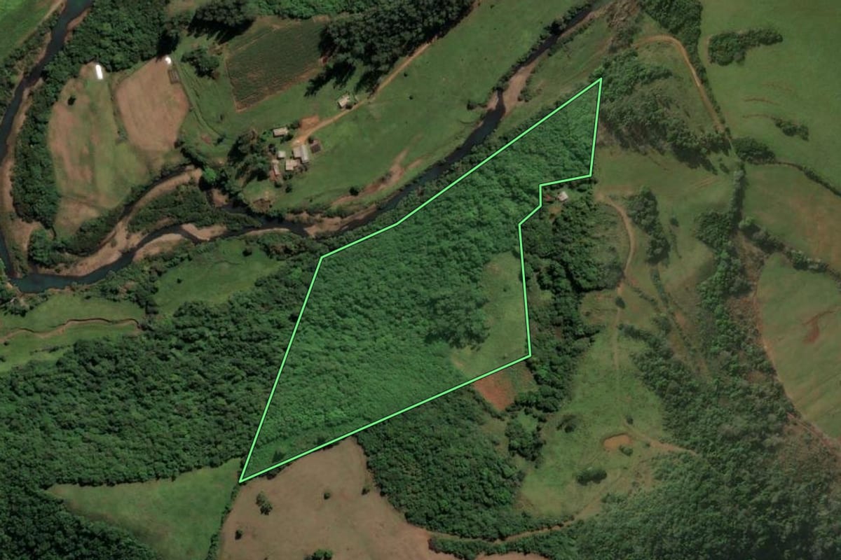 Imagem de satélite do imóvel rural em Nova Esperança do Sul (RS), com o contorno declarado no CAR desenhado por cima.