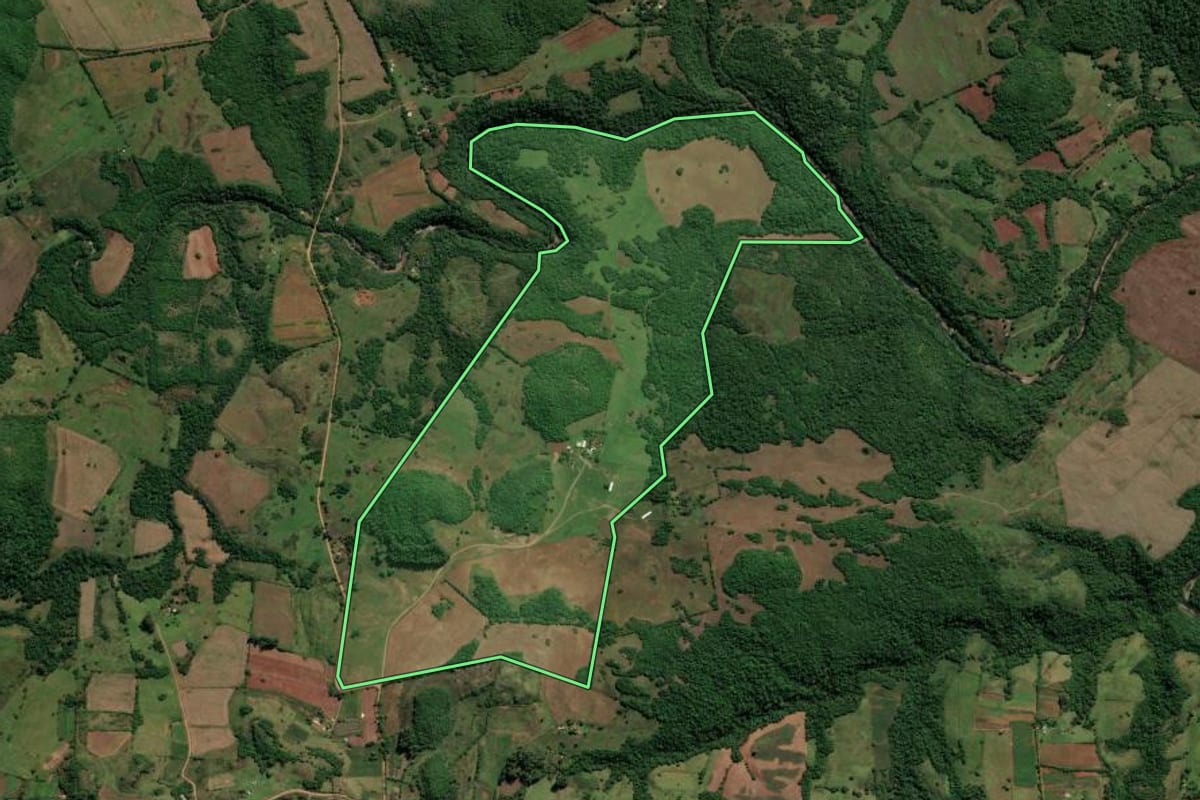 Imagem de satélite do imóvel rural em Nova Esperança do Sul (RS), com o contorno declarado no CAR desenhado por cima.