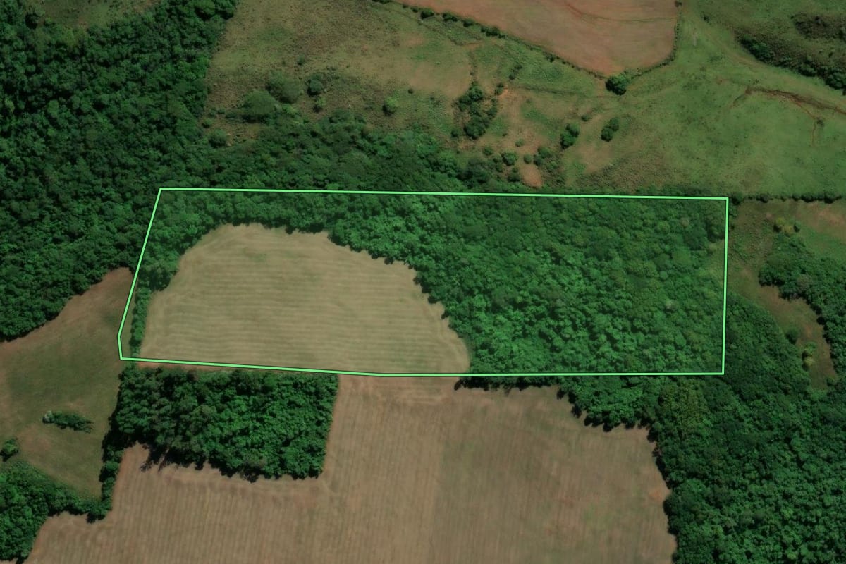 Imagem de satélite do imóvel rural em Nova Esperança do Sul (RS), com o contorno declarado no CAR desenhado por cima.