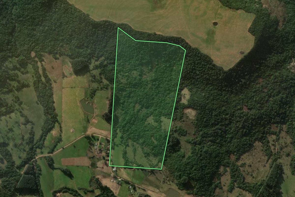 Imagem de satélite do imóvel rural em Nova Esperança do Sul (RS), com o contorno declarado no CAR desenhado por cima.