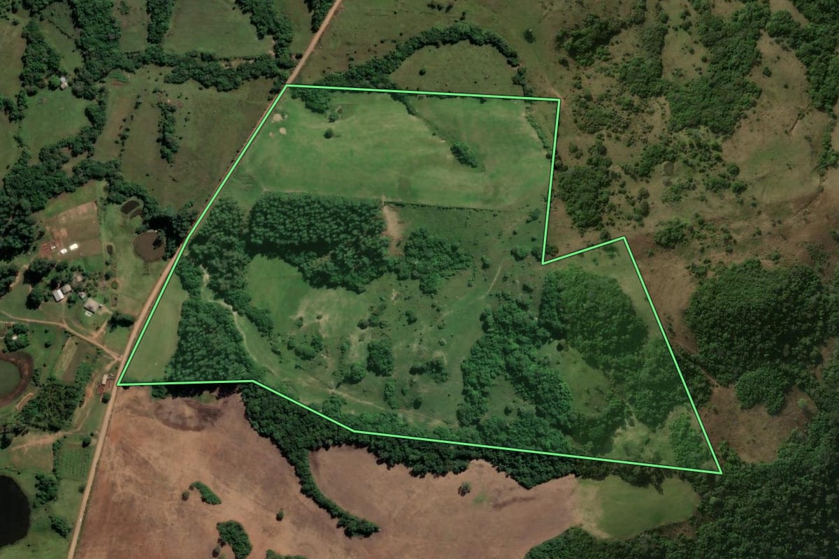 Imagem de satélite do imóvel rural em Nova Esperança do Sul (RS), com o contorno declarado no CAR desenhado por cima.