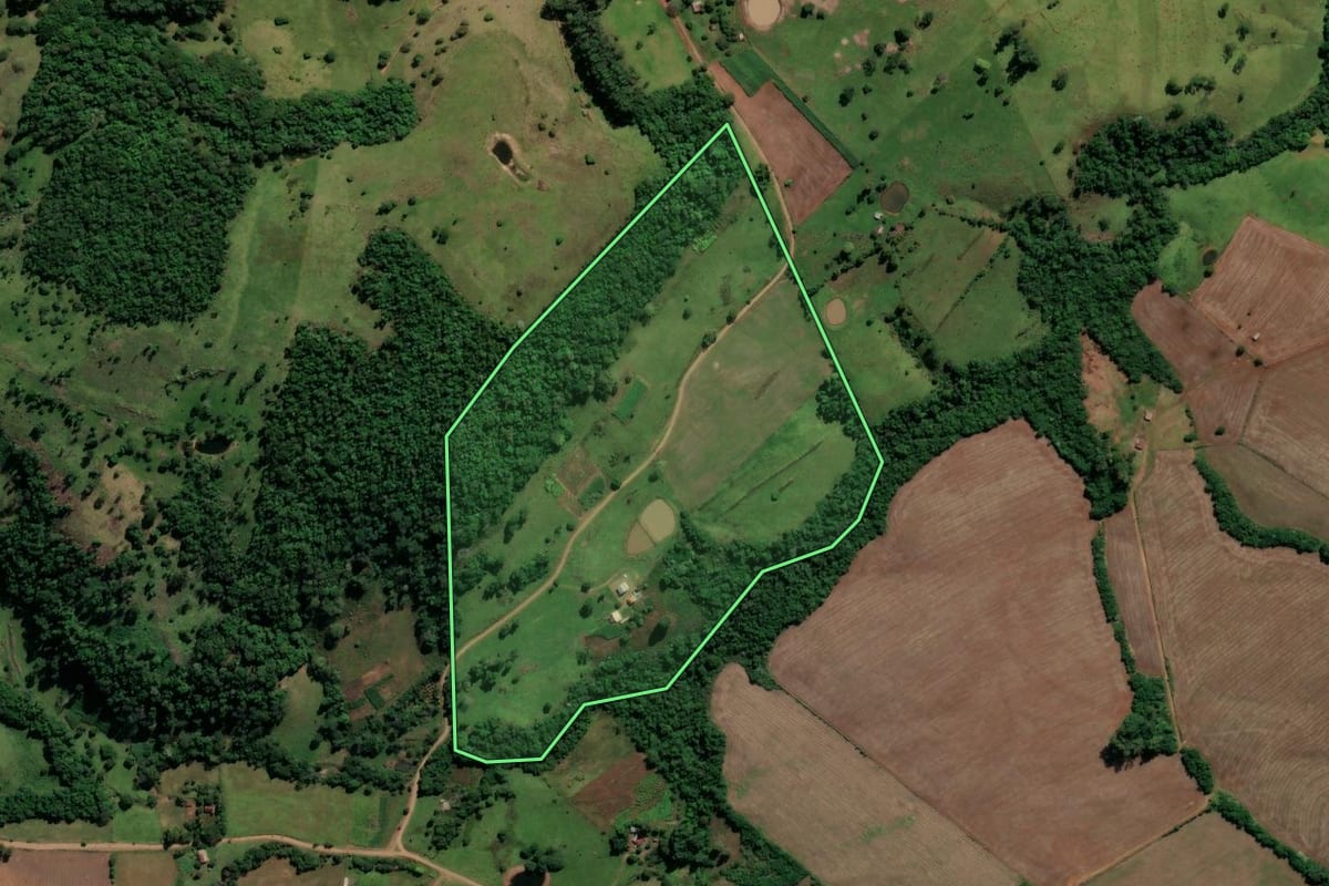 Imagem de satélite do imóvel rural em Nova Esperança do Sul (RS), com o contorno declarado no CAR desenhado por cima.