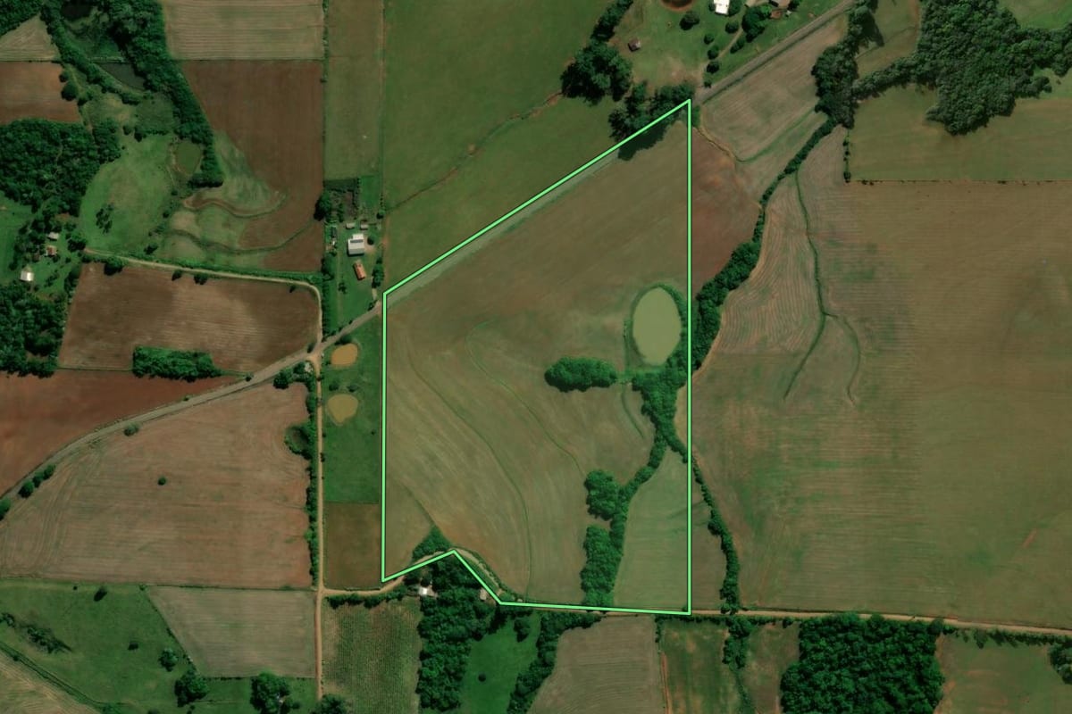 Imagem de satélite do imóvel rural em Nova Esperança do Sul (RS), com o contorno declarado no CAR desenhado por cima.