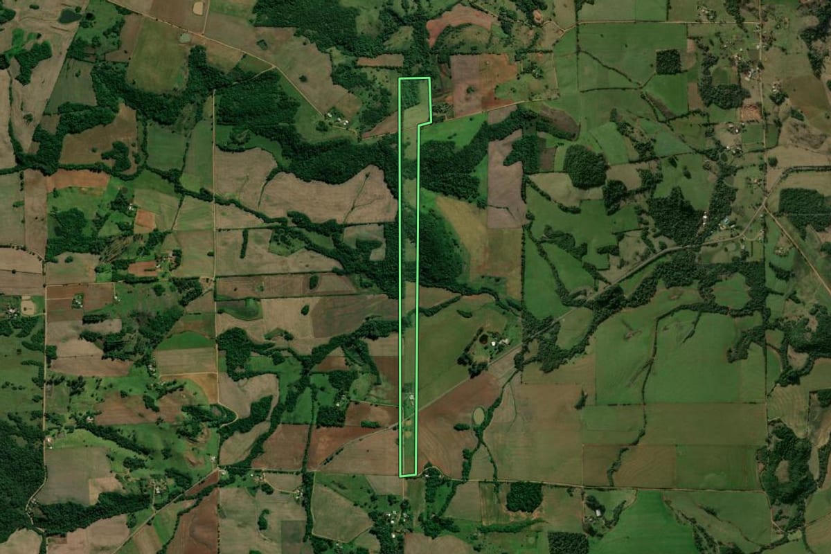 Imagem de satélite do imóvel rural em Nova Esperança do Sul (RS), com o contorno declarado no CAR desenhado por cima.