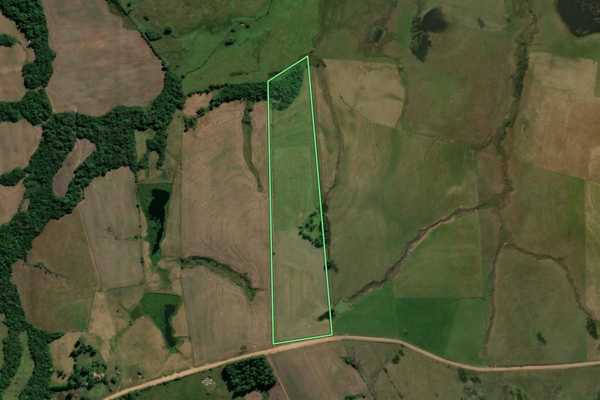 Imagem de satélite do imóvel rural em Nova Esperança do Sul (RS), com o contorno declarado no CAR desenhado por cima.