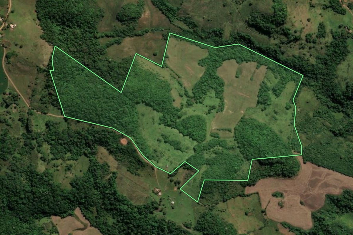 Imagem de satélite do imóvel rural em Nova Esperança do Sul (RS), com o contorno declarado no CAR desenhado por cima.