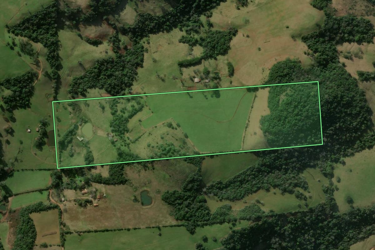 Imagem de satélite do imóvel rural em Nova Esperança do Sul (RS), com o contorno declarado no CAR desenhado por cima.
