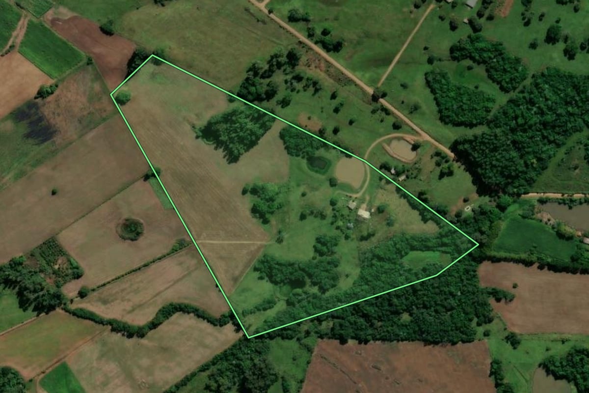 Imagem de satélite do imóvel rural em Nova Esperança do Sul (RS), com o contorno declarado no CAR desenhado por cima.