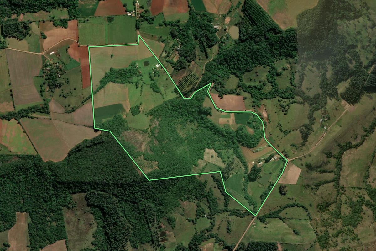 Imagem de satélite do imóvel rural em Nova Esperança do Sul (RS), com o contorno declarado no CAR desenhado por cima.