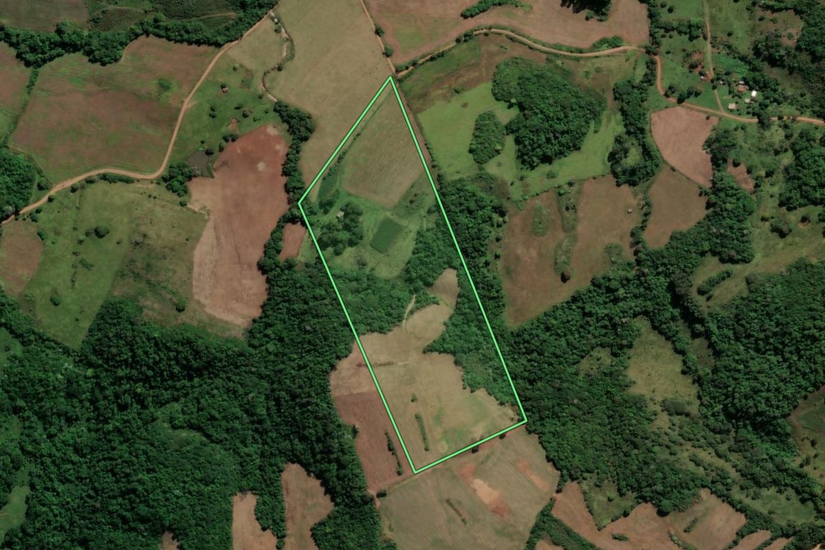 Imagem de satélite do imóvel rural em Nova Esperança do Sul (RS), com o contorno declarado no CAR desenhado por cima.