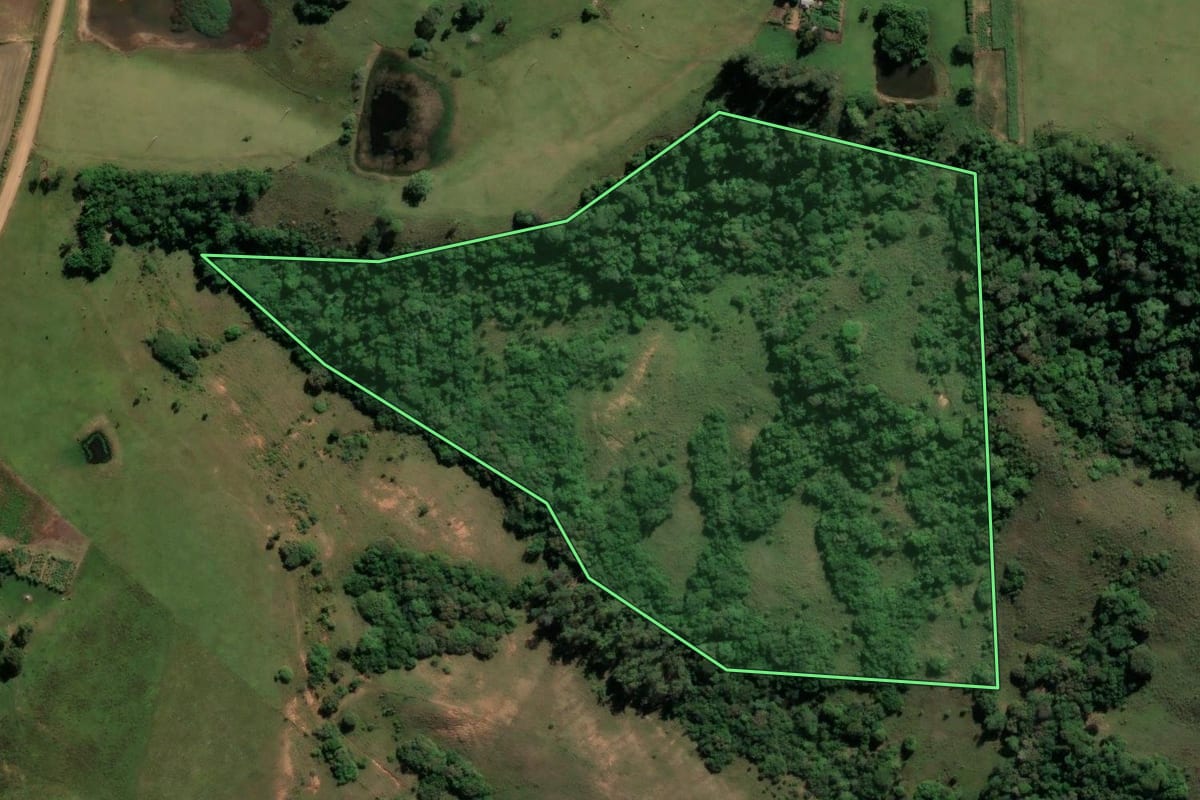 Imagem de satélite do imóvel rural em Nova Esperança do Sul (RS), com o contorno declarado no CAR desenhado por cima.