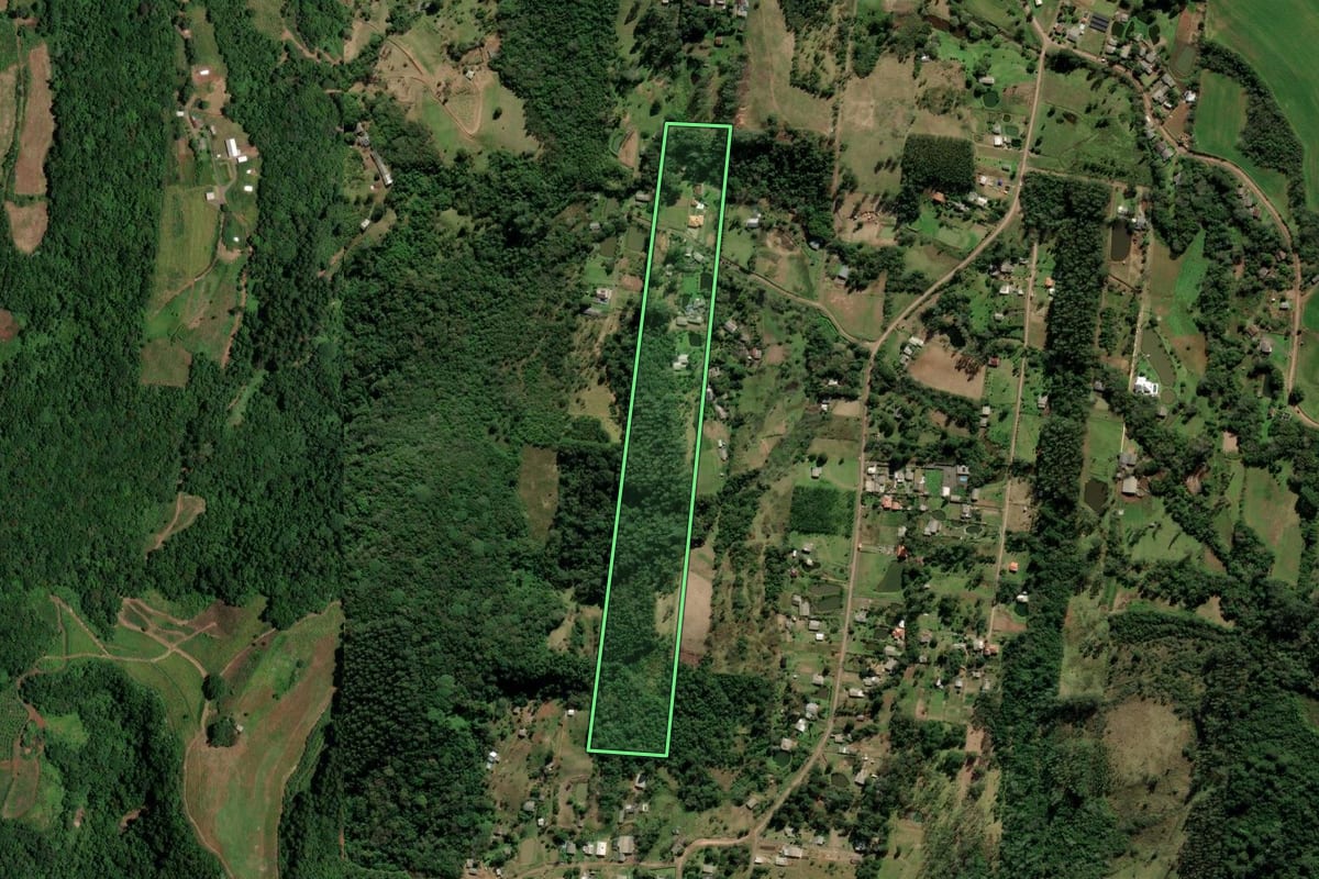 Imagem de satélite do imóvel rural em Nova Hartz (RS), com o contorno declarado no CAR desenhado por cima.