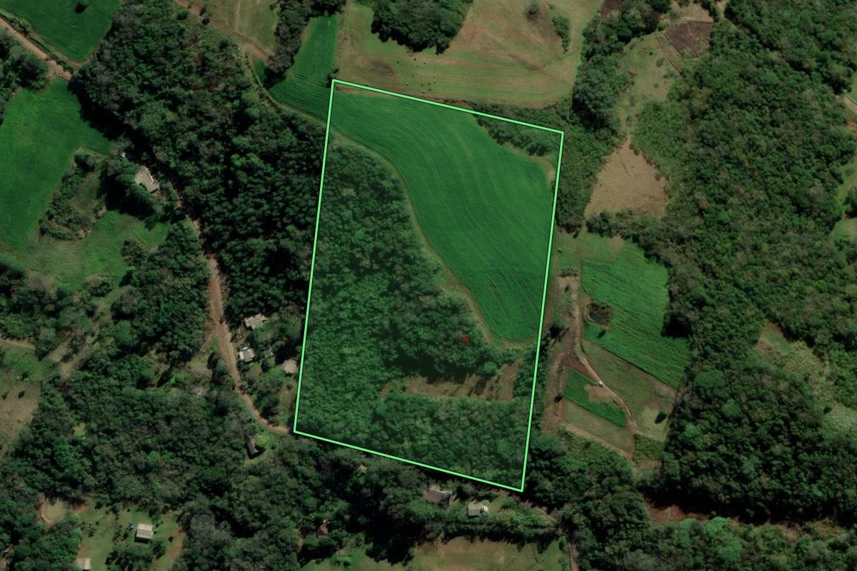 Imagem de satélite do imóvel rural em Nova Hartz (RS), com o contorno declarado no CAR desenhado por cima.