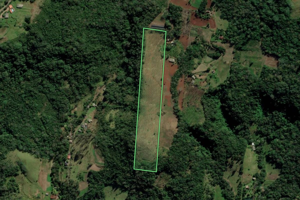 Imagem de satélite do imóvel rural em Nova Hartz (RS), com o contorno declarado no CAR desenhado por cima.