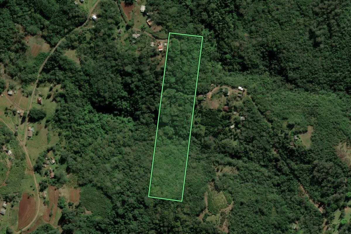 Imagem de satélite do imóvel rural em Nova Hartz (RS), com o contorno declarado no CAR desenhado por cima.