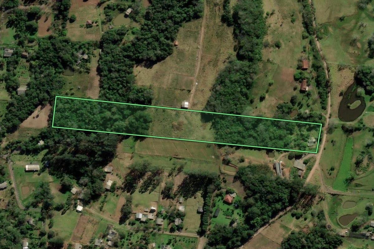 Imagem de satélite do imóvel rural em Nova Hartz (RS), com o contorno declarado no CAR desenhado por cima.