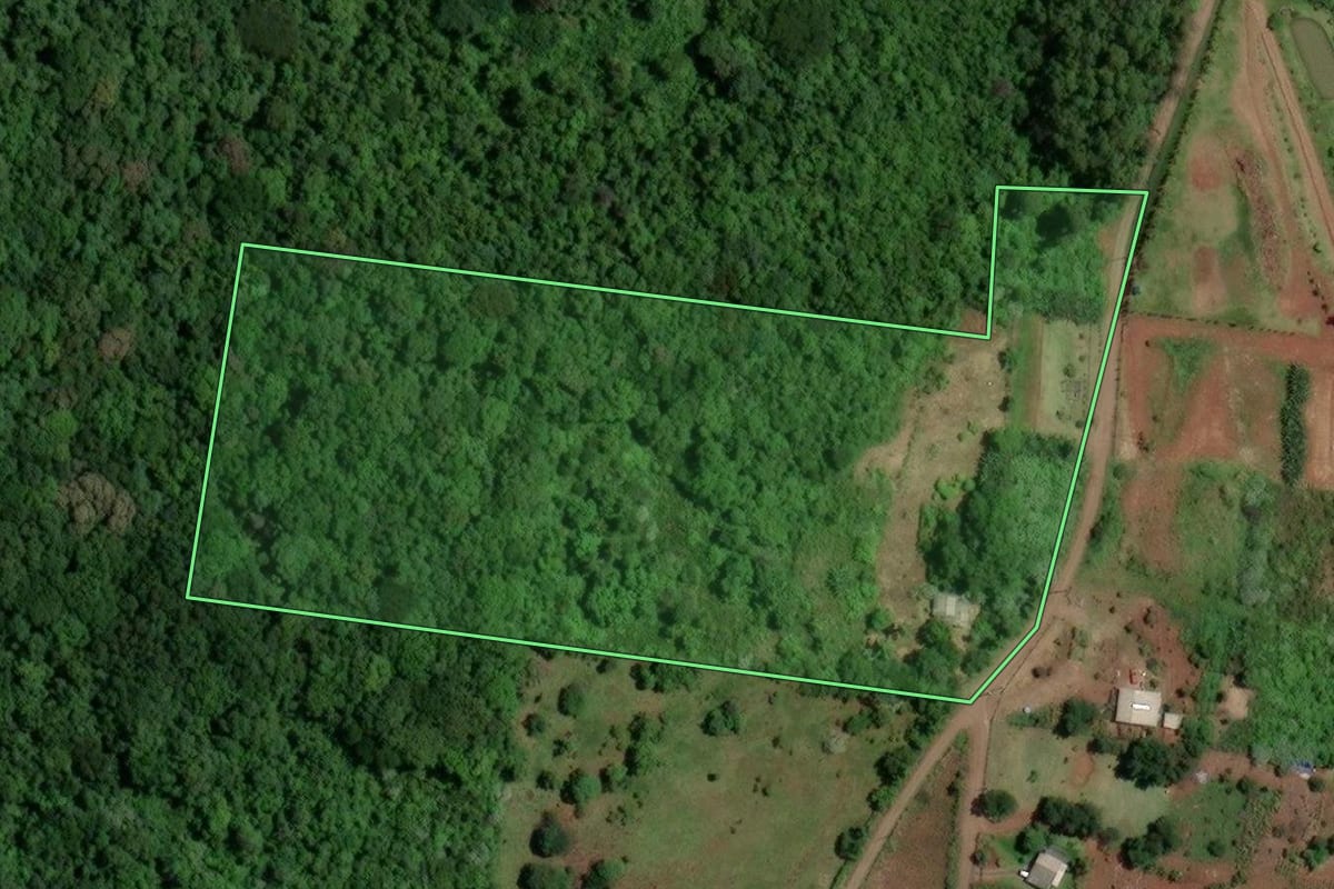 Imagem de satélite do imóvel rural em Nova Hartz (RS), com o contorno declarado no CAR desenhado por cima.