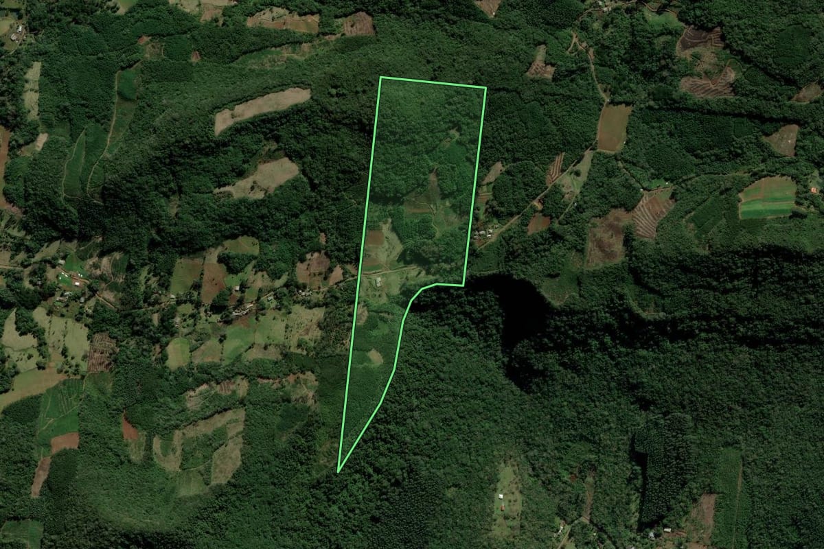 Imagem de satélite do imóvel rural em Nova Hartz (RS), com o contorno declarado no CAR desenhado por cima.