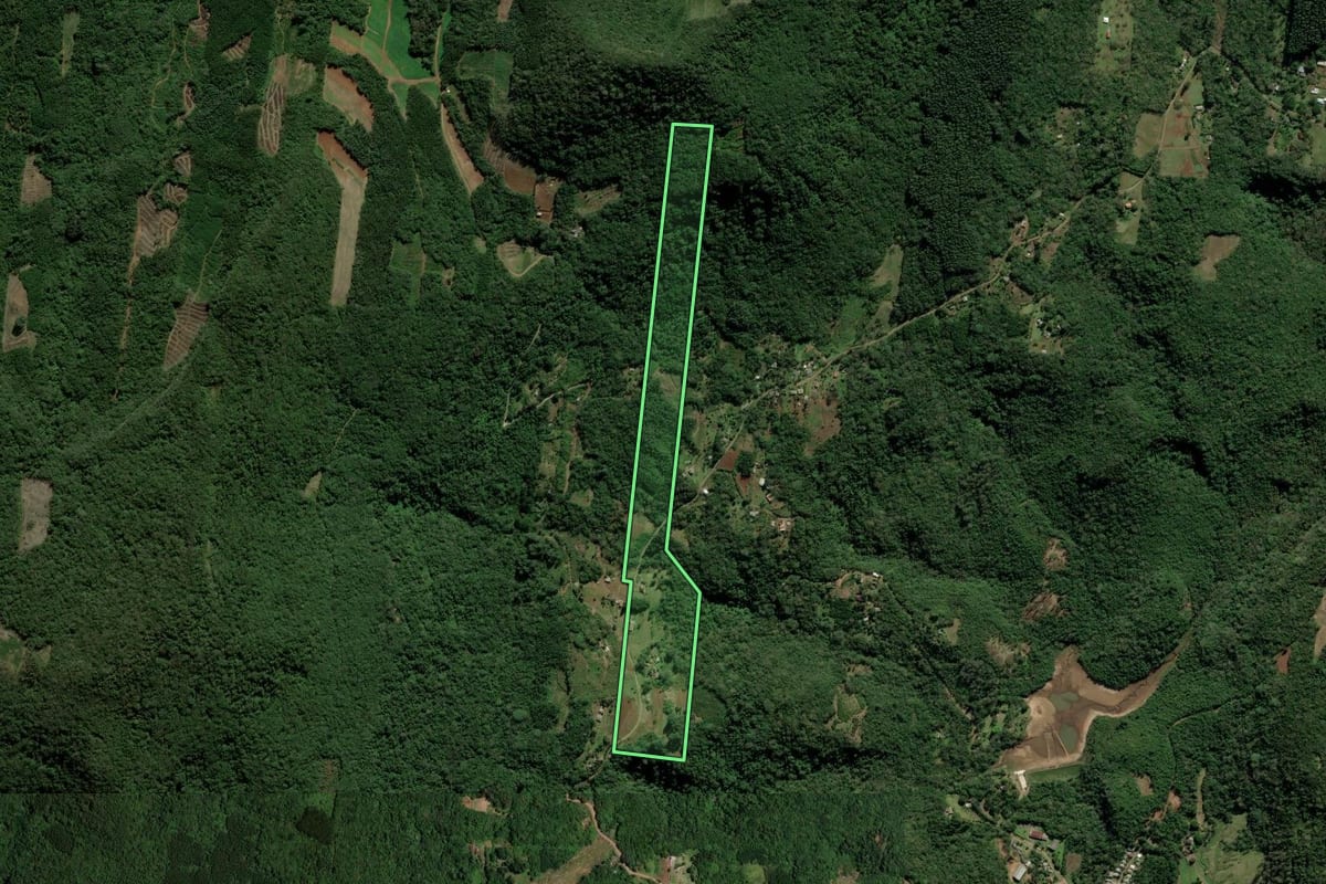 Imagem de satélite do imóvel rural em Nova Hartz (RS), com o contorno declarado no CAR desenhado por cima.
