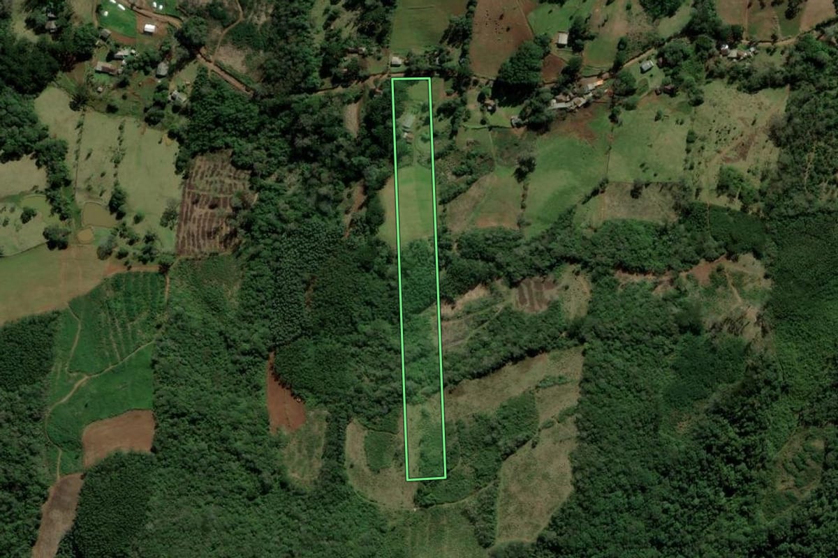 Imagem de satélite do imóvel rural em Nova Hartz (RS), com o contorno declarado no CAR desenhado por cima.