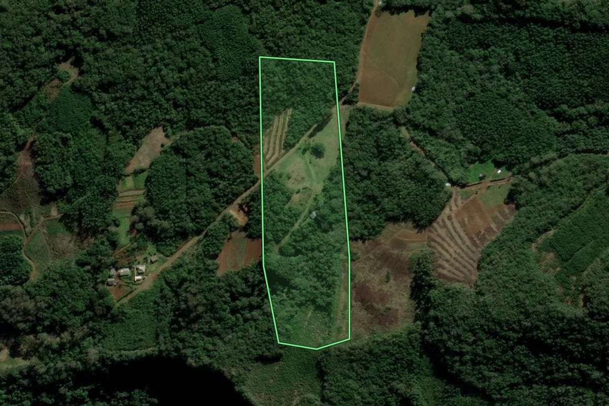 Imagem de satélite do imóvel rural em Nova Hartz (RS), com o contorno declarado no CAR desenhado por cima.