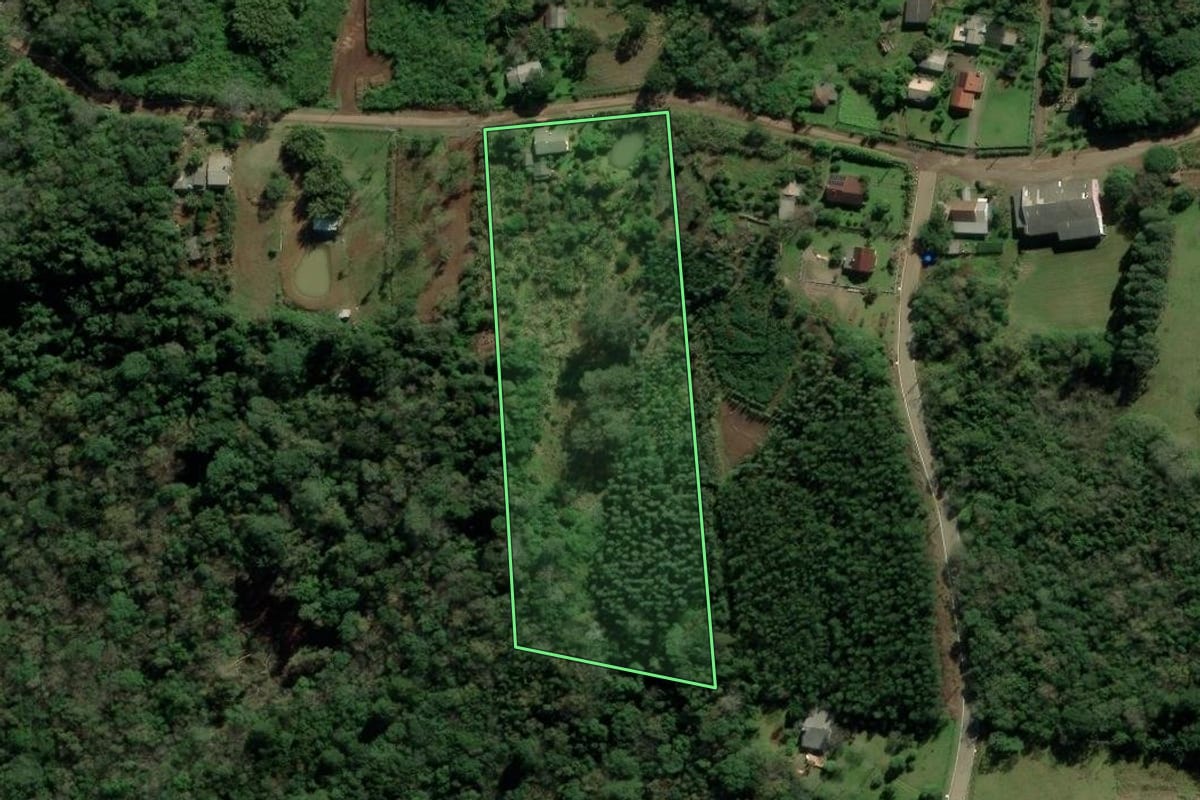 Imagem de satélite do imóvel rural em Nova Hartz (RS), com o contorno declarado no CAR desenhado por cima.