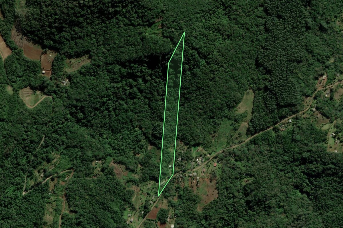 Imagem de satélite do imóvel rural em Nova Hartz (RS), com o contorno declarado no CAR desenhado por cima.