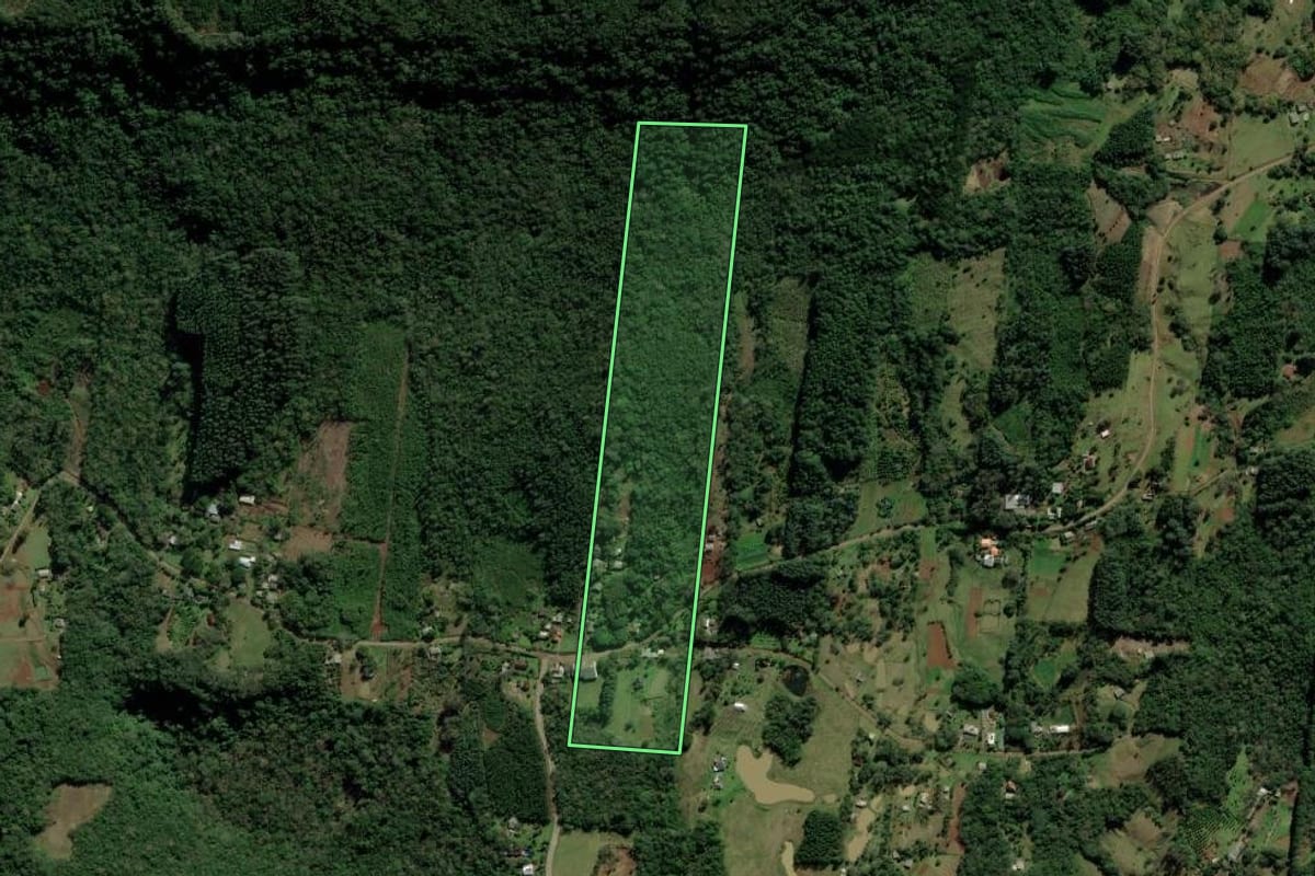 Imagem de satélite do imóvel rural em Nova Hartz (RS), com o contorno declarado no CAR desenhado por cima.