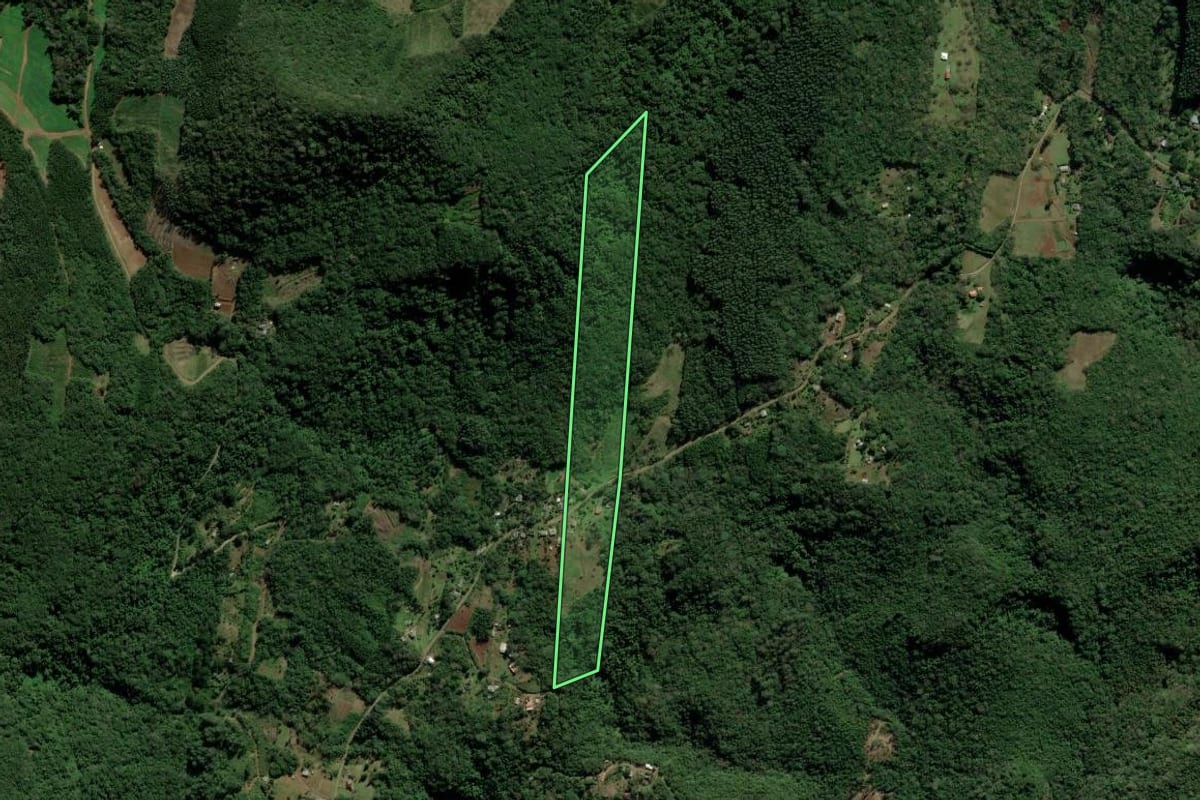 Imagem de satélite do imóvel rural em Nova Hartz (RS), com o contorno declarado no CAR desenhado por cima.
