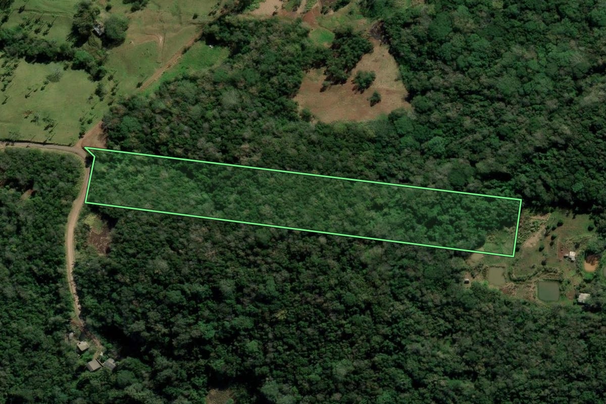 Imagem de satélite do imóvel rural em Nova Hartz (RS), com o contorno declarado no CAR desenhado por cima.