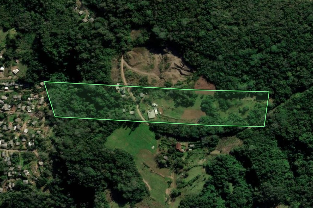 Imagem de satélite do imóvel rural em Nova Hartz (RS), com o contorno declarado no CAR desenhado por cima.