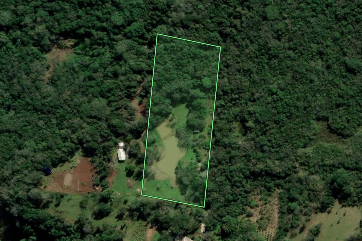 Imagem de satélite do imóvel rural em Nova Hartz (RS), com o contorno declarado no CAR desenhado por cima.