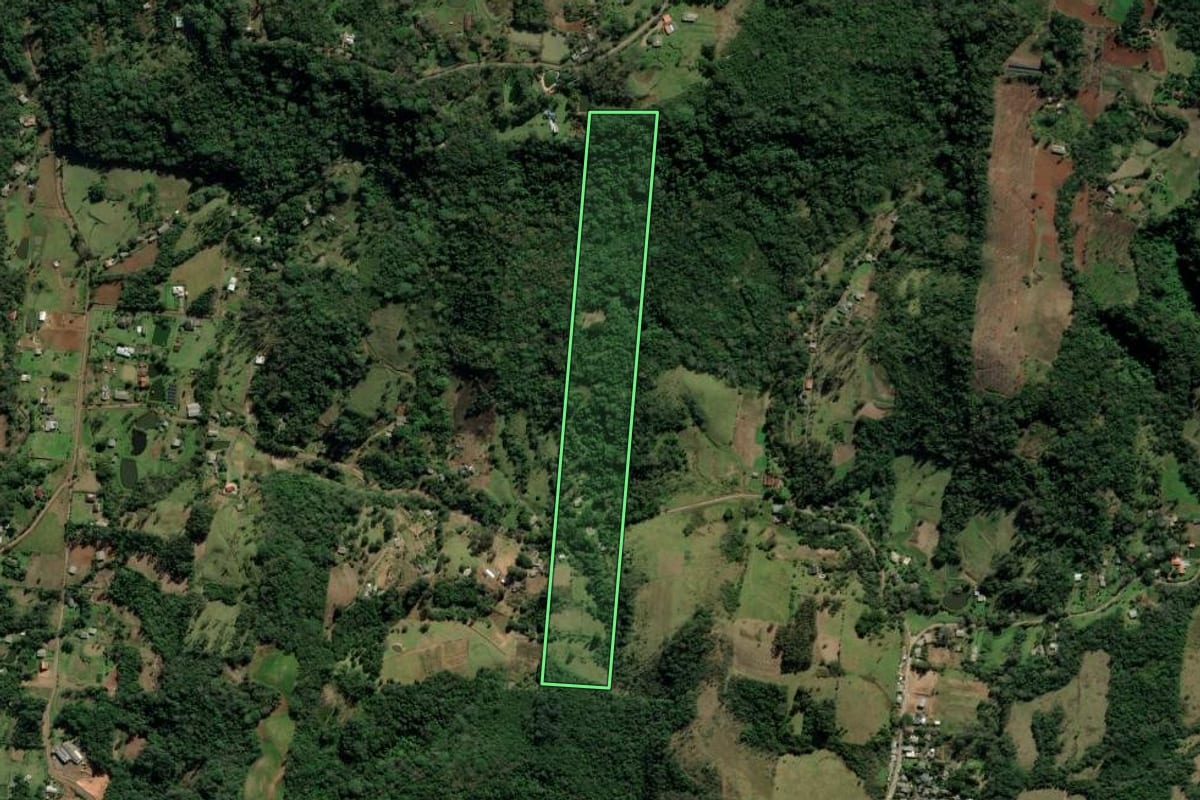 Imagem de satélite do imóvel rural em Nova Hartz (RS), com o contorno declarado no CAR desenhado por cima.